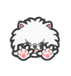EXOTIC CUTE CAT 4（個別スタンプ：19）