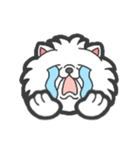 EXOTIC CUTE CAT 4（個別スタンプ：21）