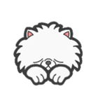 EXOTIC CUTE CAT 4（個別スタンプ：22）