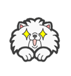 EXOTIC CUTE CAT 4（個別スタンプ：23）