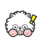 EXOTIC CUTE CAT 4（個別スタンプ：24）