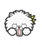 EXOTIC CUTE CAT 4（個別スタンプ：25）