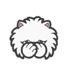 EXOTIC CUTE CAT 4（個別スタンプ：27）