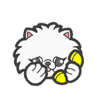 EXOTIC CUTE CAT 4（個別スタンプ：28）