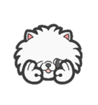 EXOTIC CUTE CAT 4（個別スタンプ：29）