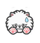 EXOTIC CUTE CAT 4（個別スタンプ：31）
