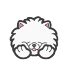EXOTIC CUTE CAT 4（個別スタンプ：33）