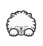 EXOTIC CUTE CAT 4（個別スタンプ：34）
