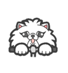 EXOTIC CUTE CAT 4（個別スタンプ：37）