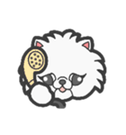 EXOTIC CUTE CAT 4（個別スタンプ：38）