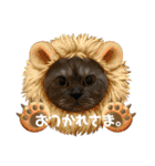 かぼちゃん。ほんとはらいむだよ。（個別スタンプ：5）