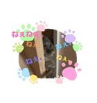 かぼちゃん。ほんとはらいむだよ。（個別スタンプ：7）