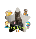 かぼちゃん。ほんとはらいむだよ。（個別スタンプ：10）