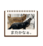 かぼちゃん。ほんとはらいむだよ。（個別スタンプ：23）