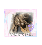 かぼちゃん。ほんとはらいむだよ。（個別スタンプ：24）