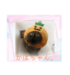かぼちゃん。ほんとはらいむだよ。（個別スタンプ：30）