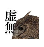 ガラの悪いふくろう（個別スタンプ：6）