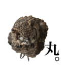 ガラの悪いふくろう（個別スタンプ：21）