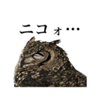 ガラの悪いふくろう（個別スタンプ：24）