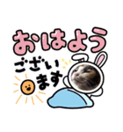 ゴルゴ13猫のももちゃん(日常会話編)（個別スタンプ：4）