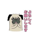 I LOVE PUG♡パグちゃんと日常（個別スタンプ：11）