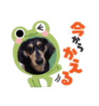 こてつ＆さく③（個別スタンプ：7）