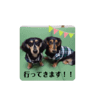 こてつ＆さく③（個別スタンプ：11）