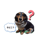 こてつ＆さく③（個別スタンプ：18）