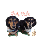 こてつ＆さく③（個別スタンプ：20）