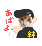 16/CAT/保護猫/子猫写真スタンプ（個別スタンプ：4）