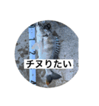俺らの釣り（個別スタンプ：8）