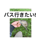 俺らの釣り（個別スタンプ：13）