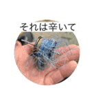 俺らの釣り（個別スタンプ：17）