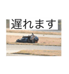 俺らの釣り（個別スタンプ：18）
