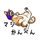 覆面犬2（個別スタンプ：29）