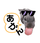 お馬さんの1日（個別スタンプ：7）