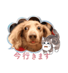 トーイのスタンプだよ（個別スタンプ：11）