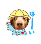 トーイのスタンプだよ（個別スタンプ：15）