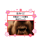 トーイのスタンプだよ（個別スタンプ：17）