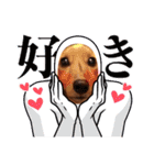 トーイのスタンプだよ（個別スタンプ：31）