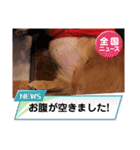 トーイのスタンプだよ（個別スタンプ：34）