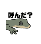 柑橘ファミリー①（個別スタンプ：15）