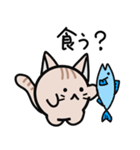 まるまるねこの日常（個別スタンプ：16）