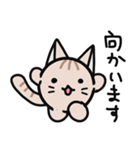 まるまるねこの日常（個別スタンプ：19）