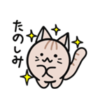 まるまるねこの日常（個別スタンプ：38）