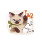 普段使いできる可愛いシャム猫/敬語（個別スタンプ：1）