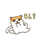 にゃおにゃおねこスタンプ3（個別スタンプ：25）