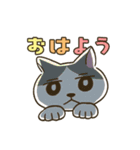 にゃおにゃおねこスタンプ3（個別スタンプ：37）