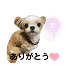 リコ＆タラ♡（個別スタンプ：8）