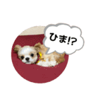 リコ＆タラ♡（個別スタンプ：9）